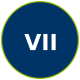 icone-07-VII